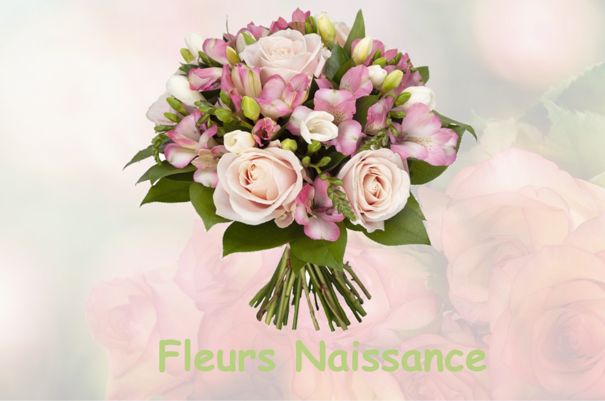 fleurs naissance SAINT-SULPICE-DES-RIVOIRES