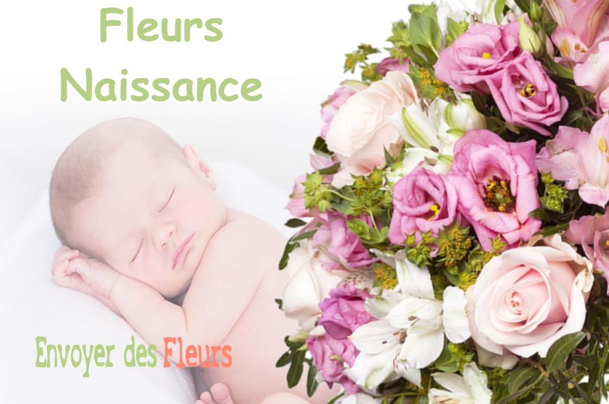 lIVRAISON FLEURS NAISSANCE à SAINT-SULPICE-DES-RIVOIRES